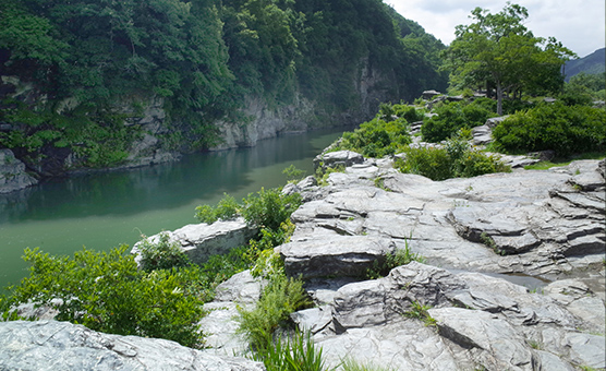 SIGHTSEEING 周辺観光案内