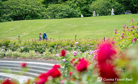 SIGHTSEEING 周辺観光案内