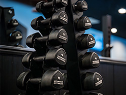 だれでもフィットネス