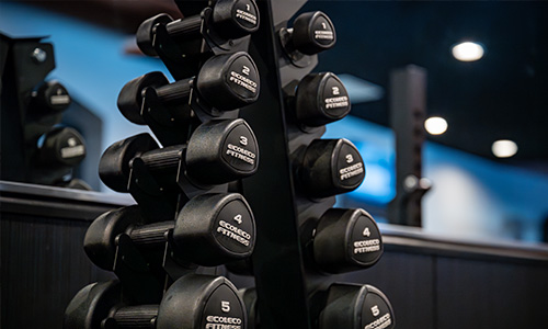 だれでもフィットネス